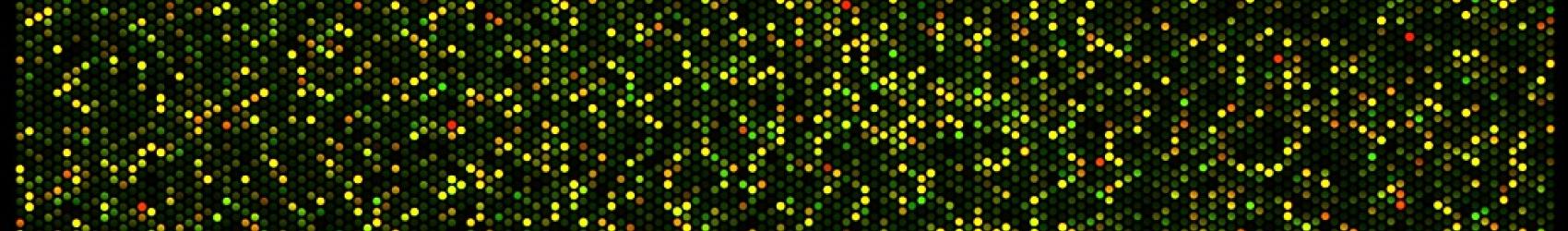 Infinium Methylation Array