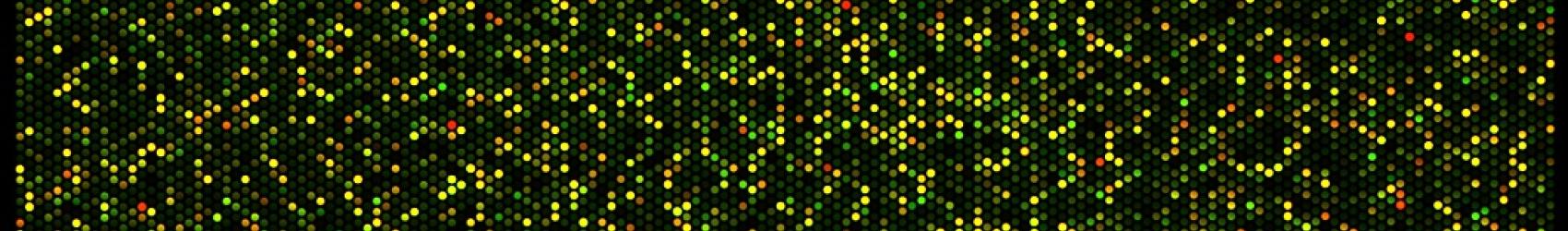 Infinium Methylation Array