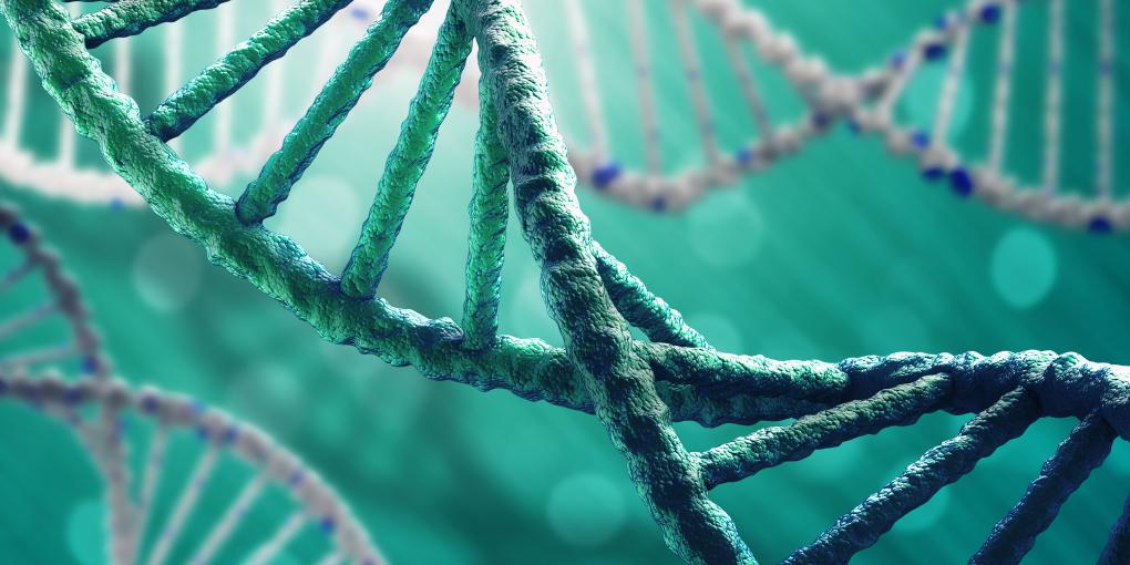 DNA DNA