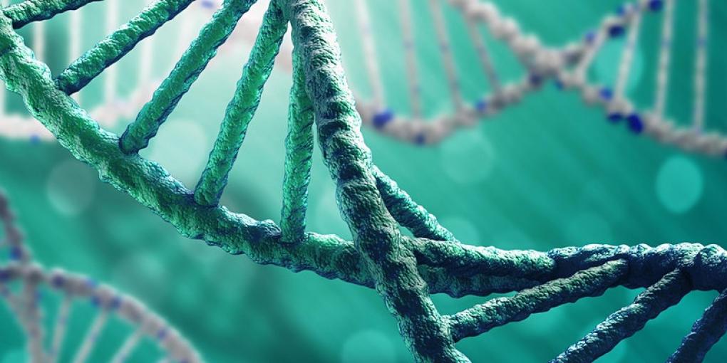 Using the latest ONT applications to study methylation and epigenetics
