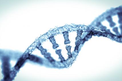 Ramaciotti Gene Expression & Transcriptome