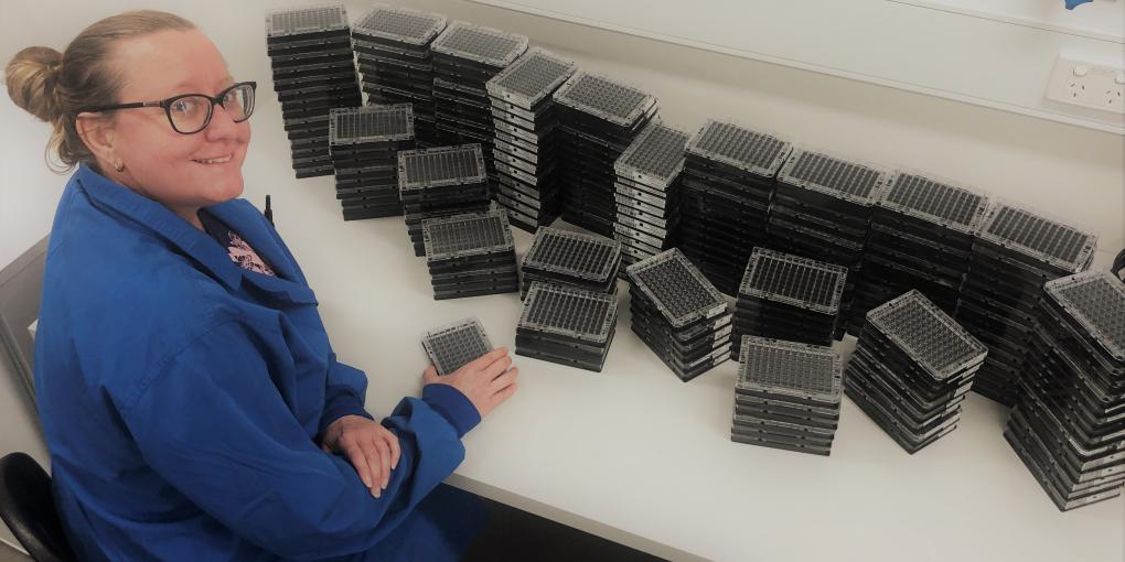 Genotyping plates - ASPREE study Genotyping plates - ASPREE study